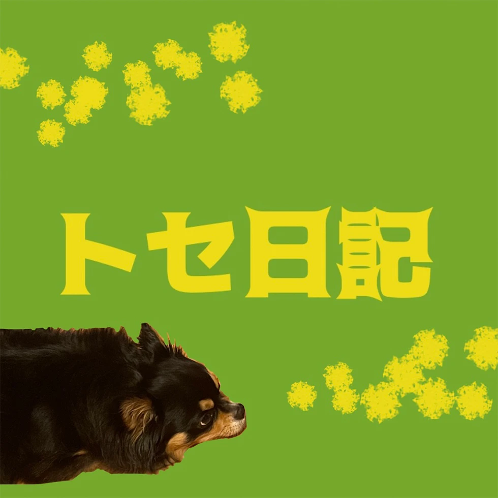 メイン画像湯川