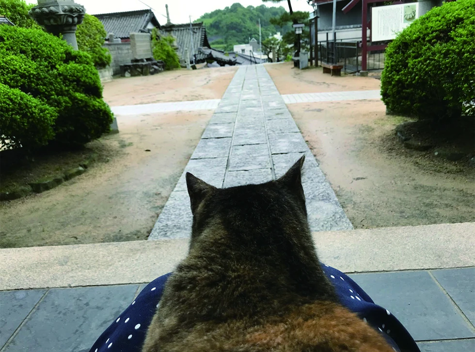 名称未設定 12