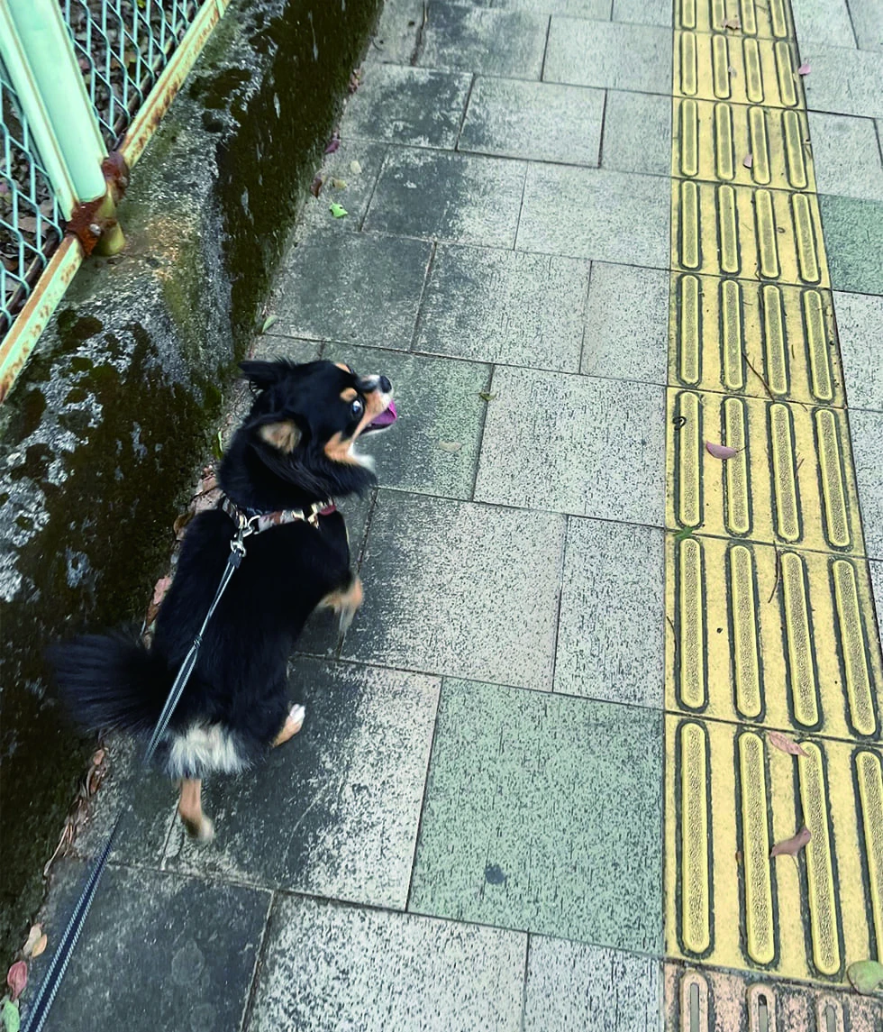 名称未設定 21