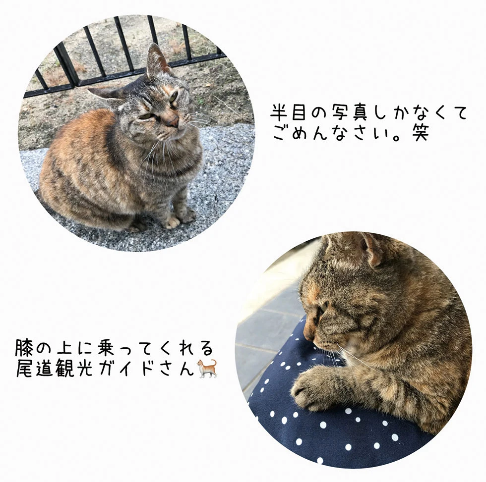 12月偏愛葛野１