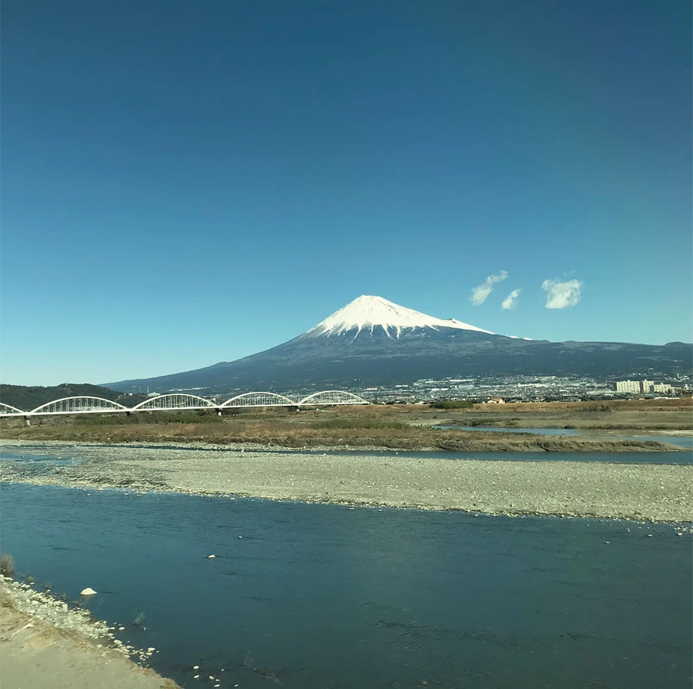 かつの１